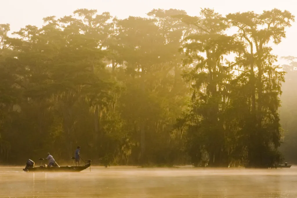 Lưu vực sông Atchafalaya